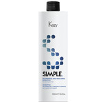 Kezy Simple Шампунь питательный восстанавливающий для поврежденных волос c маслом семян льна 1000 мл