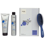 Dewal Smart Care Everyday Gloss Набор для ежедневного блеска волос (шампунь 300 мл + кондиционер 250 мл + щетка массажная)