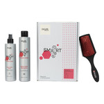 Dewal Smart Care Protect Color Набор для окрашенных волос (шампунь 300 мл + флюид 250 мл + щетка для волос)